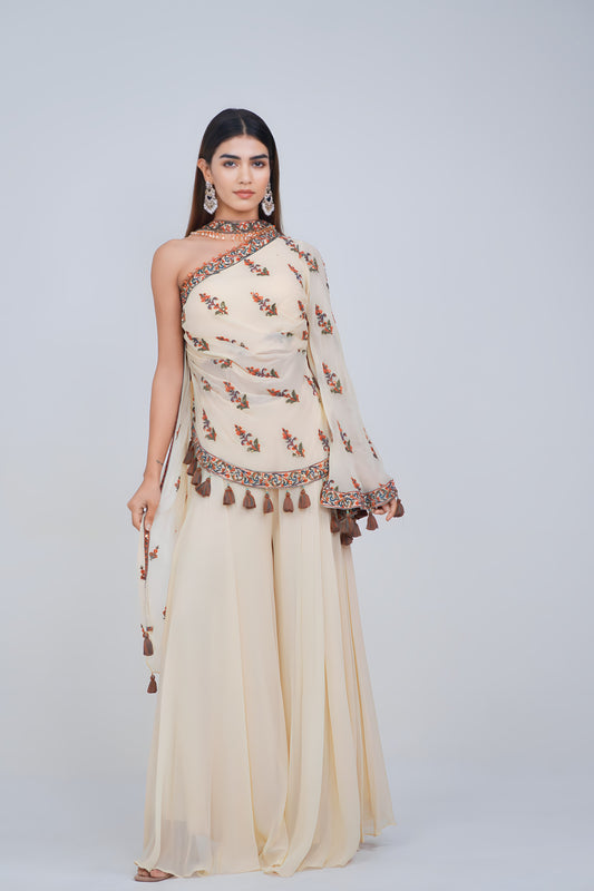 Body Hugging Georgette Asymmetric Style