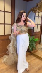 Indo-Western Drape Saree with Golden Highlights and Ruffles