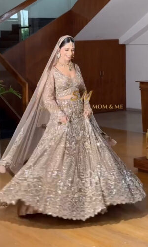 Dreamy Light Gold Fairy Lehenga Set