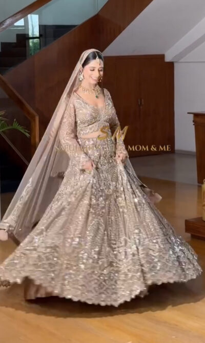 Dreamy Light Gold Fairy Lehenga Set