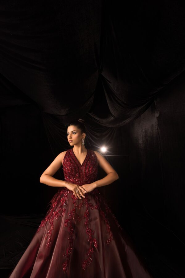 Maroon Monochromatic Hand Embroided gown