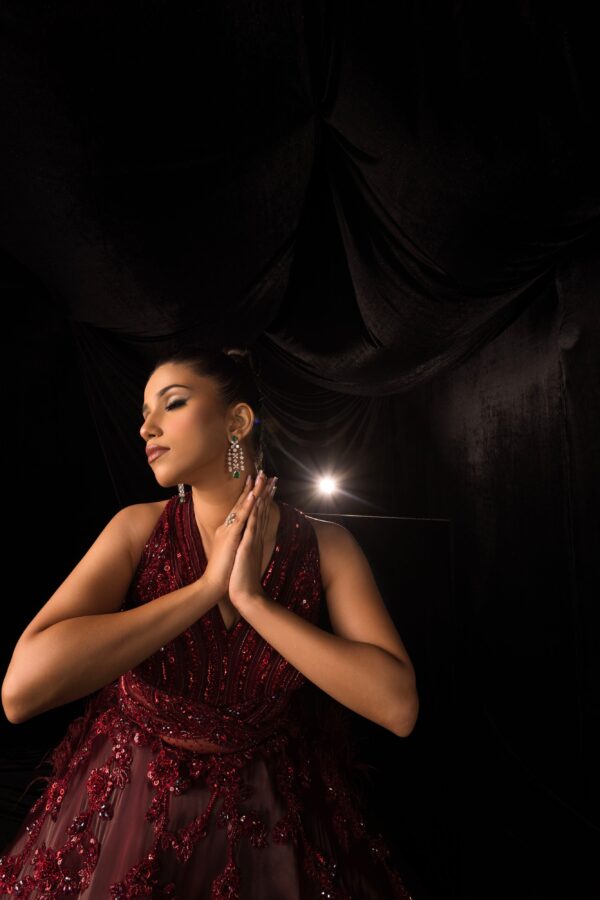 Maroon Monochromatic Hand Embroided gown