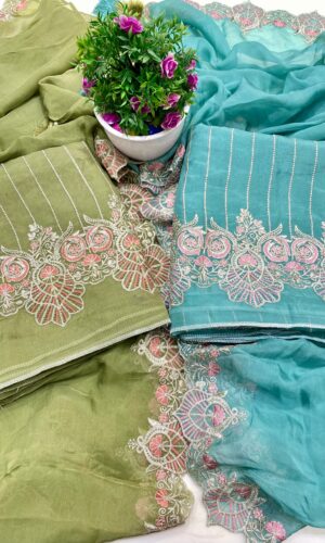 Ethereal Elegance: Pakistani Organza Suit with Silver Embroidery