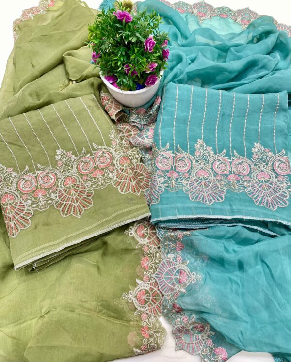 Ethereal Elegance: Pakistani Organza Suit with Silver Embroidery