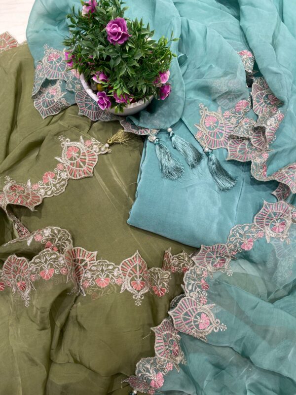 Ethereal Elegance: Pakistani Organza Suit with Silver Embroidery
