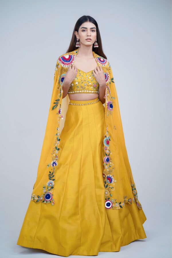 Bold Elegance Indo Western Style Lehenga with Hand Resham Embroidery
