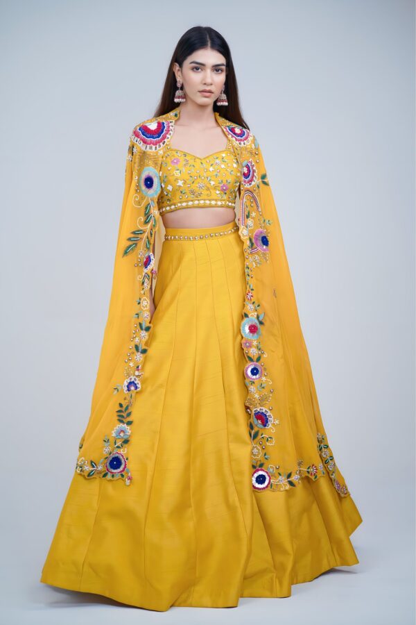 Bold Elegance Indo Western Style Lehenga with Hand Resham Embroidery