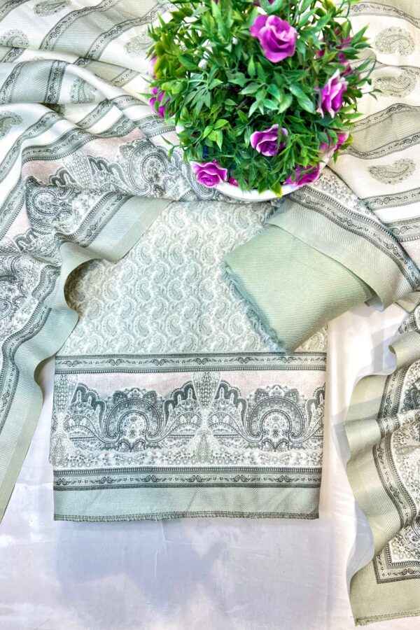 Pastel toned digital print pashmina suit