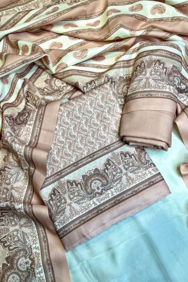 Pastel toned digital print pashmina suit