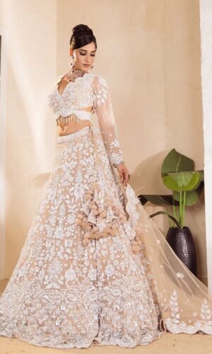 Ethereal Skin-Toned Embroidered Lehenga Choli