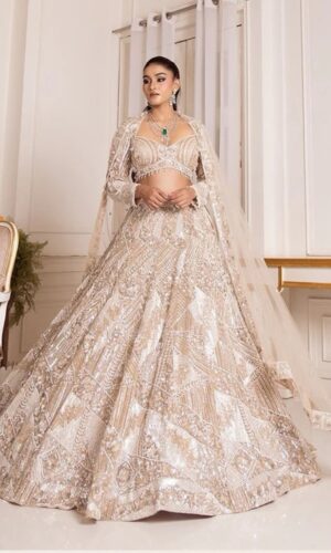 Ivory Hue Flairy Lehenga Fully Hand Stitched Paired with Crop Top and Dupatta