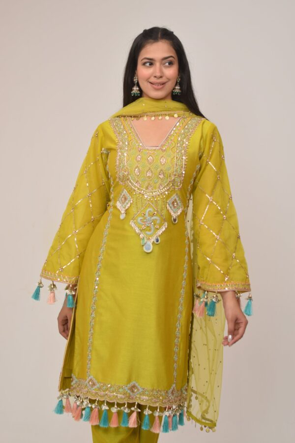 Elegant Neon Straight Pant Pakistani Suit