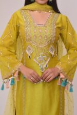 Elegant Neon Straight Pant Pakistani Suit