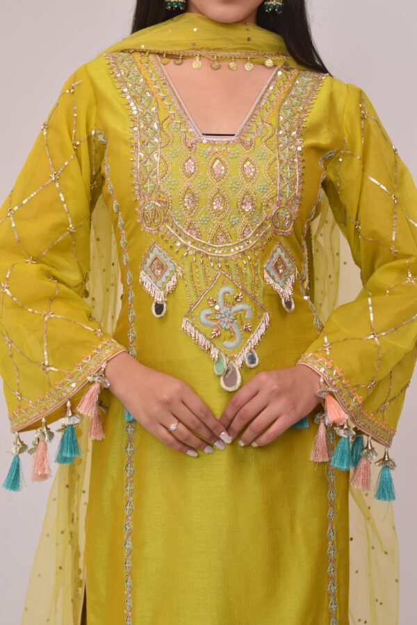 Elegant Neon Straight Pant Pakistani Suit