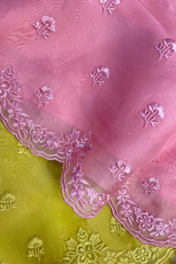 Soft Hued Pure Organza Unstitched Pakistani Style Suit