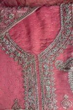 Organza Pakistani Suits with Silver Embroidery