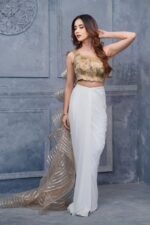 Indo-Western Drape Saree with Golden Highlights and Ruffles