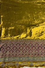 Micro Velvet Embroided Pakistani Suit