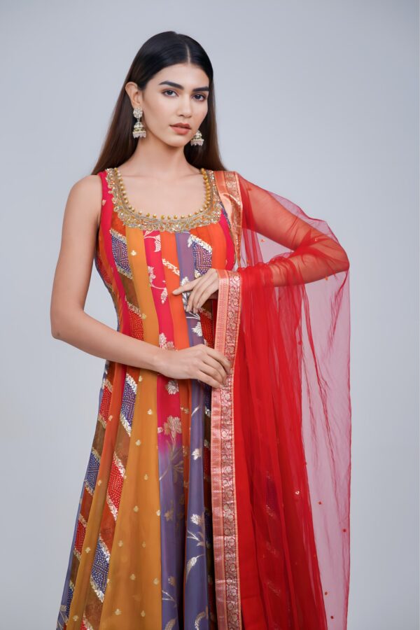 Multi Charm Anarkali Suit Set