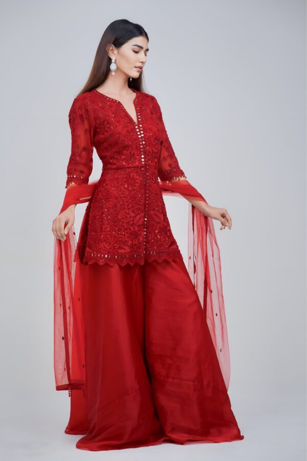 Luxury Maroon Monochromatic Ethnic Set