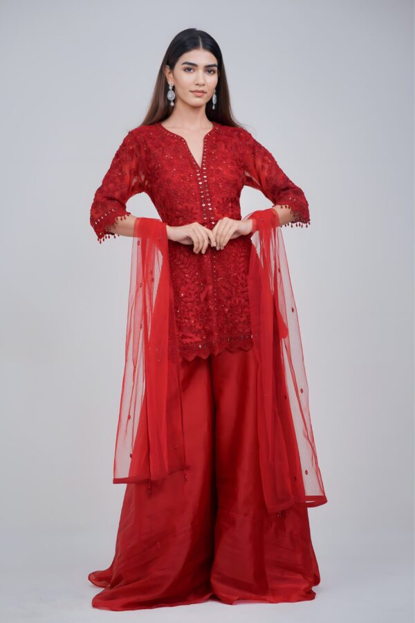 Luxury Maroon Monochromatic Ethnic Set