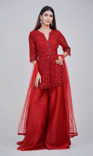 Luxury Maroon Monochromatic Ethnic Set