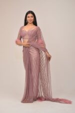 Antique Onion Intricate Saree- Feather Detailing