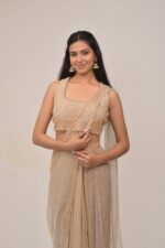 Nude Almond Exquisite Drape Saree