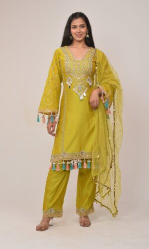 Elegant Neon Straight Pant Pakistani Suit