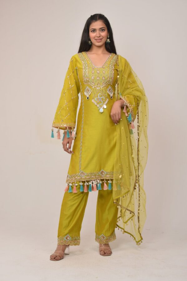 Elegant Neon Straight Pant Pakistani Suit