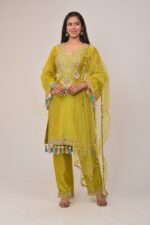 Elegant Neon Straight Pant Pakistani Suit