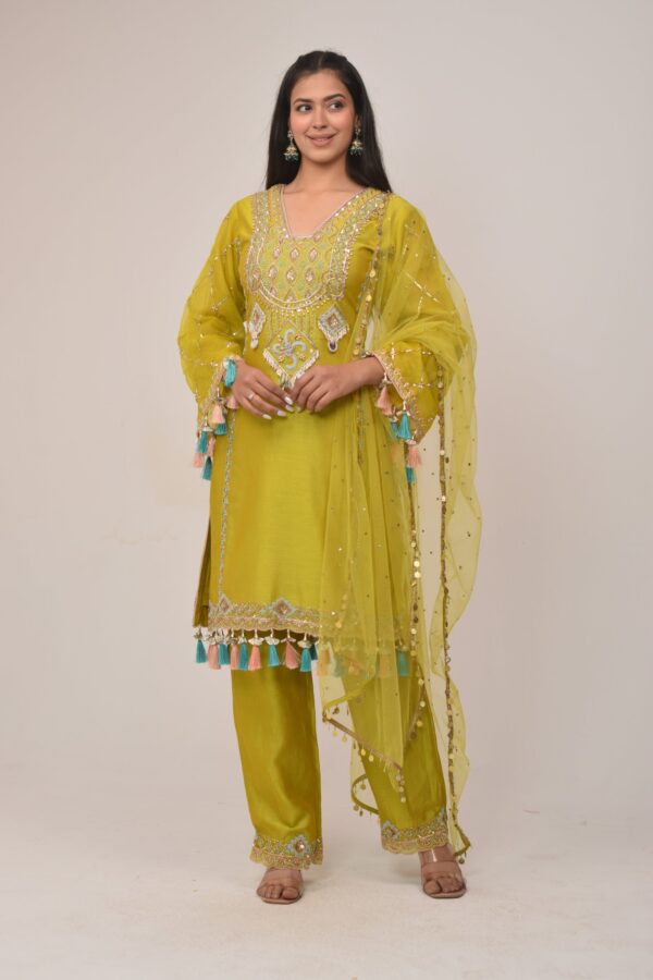Elegant Neon Straight Pant Pakistani Suit