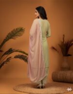Elegant Sage Mirror Work Suit