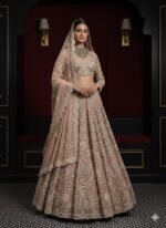 Nude Blush Regal Dream Lehenga