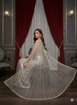 Metallic Silver Draped Cape Style Saree