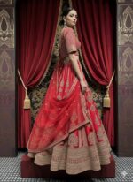 Regal Scarlet Zari Bridal Lehenga