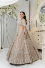 Ethereal Champagne Gold Lehenga