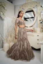 Coffee Crystal Mermaid Lehenga