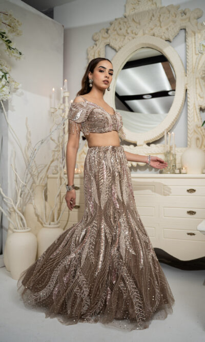 Coffee Crystal Mermaid Lehenga