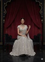 Whispering Silver Moonlight Lehenga