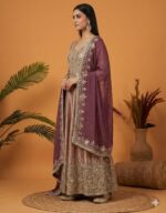 Shimmery Royal Mirror Work Anarkali