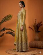 Shimmery Royal Mirror Work Anarkali