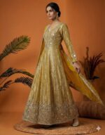 Shimmery Royal Mirror Work Anarkali