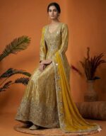 Shimmery Royal Mirror Work Anarkali