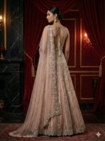 Blush Pink Silver Grace Anarkali