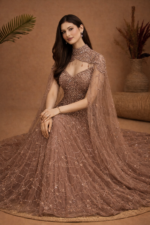 Elegant Embroidered Net Gown