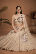 Champagne Gold Embellished Lehenga Set