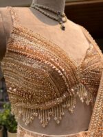 Champagne aura drape saree