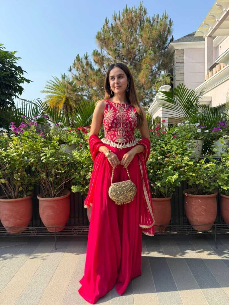 Hot pink elegant embellished set