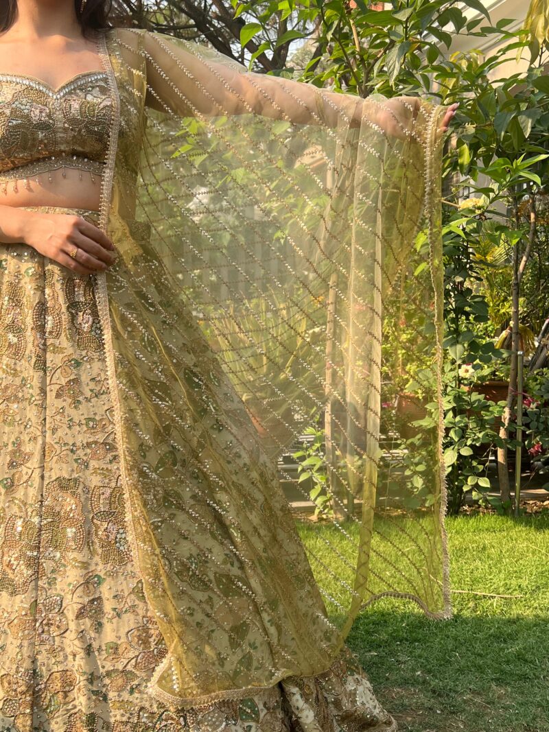 Sage green celestial lehenga